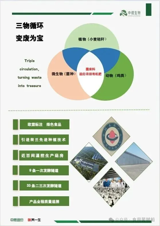 640 (5).webp 